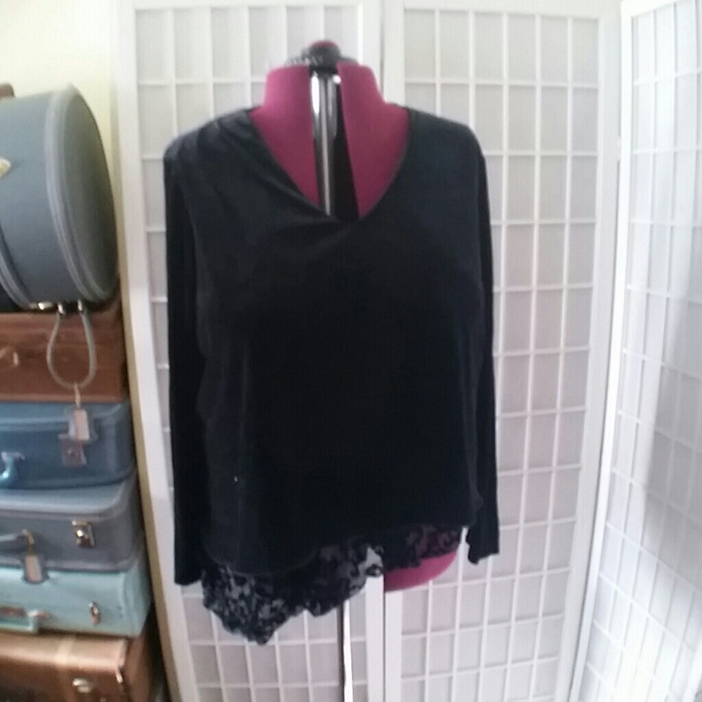 NWT velvet and chiffon long sleeve top